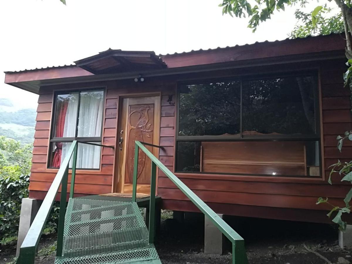 Rancho De Lelo Ecolodge Monteverde Kültér fotó