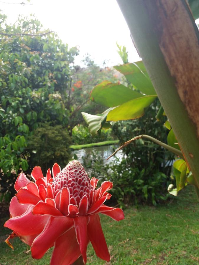 Rancho De Lelo Ecolodge Monteverde Kültér fotó