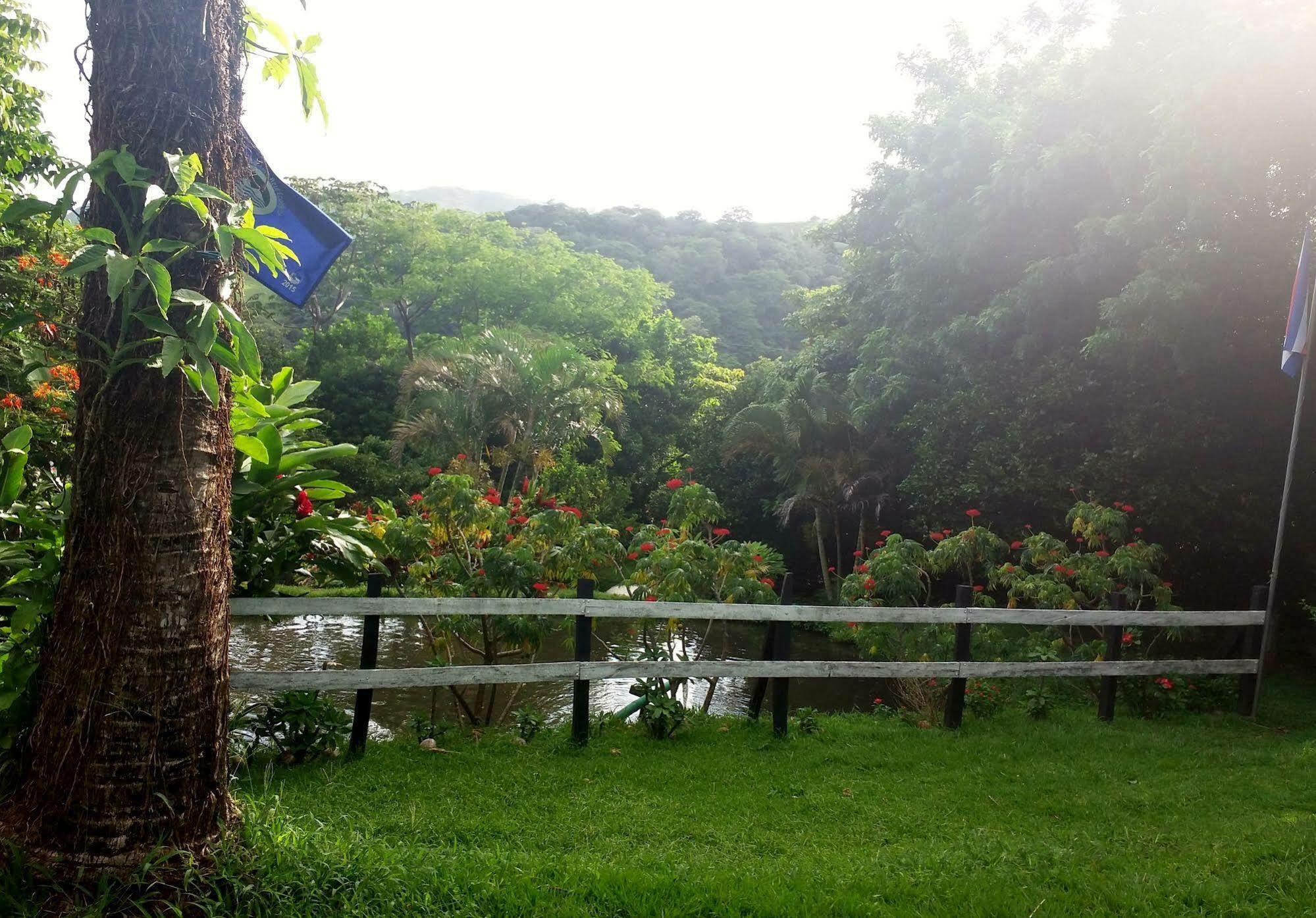 Rancho De Lelo Ecolodge Monteverde Kültér fotó