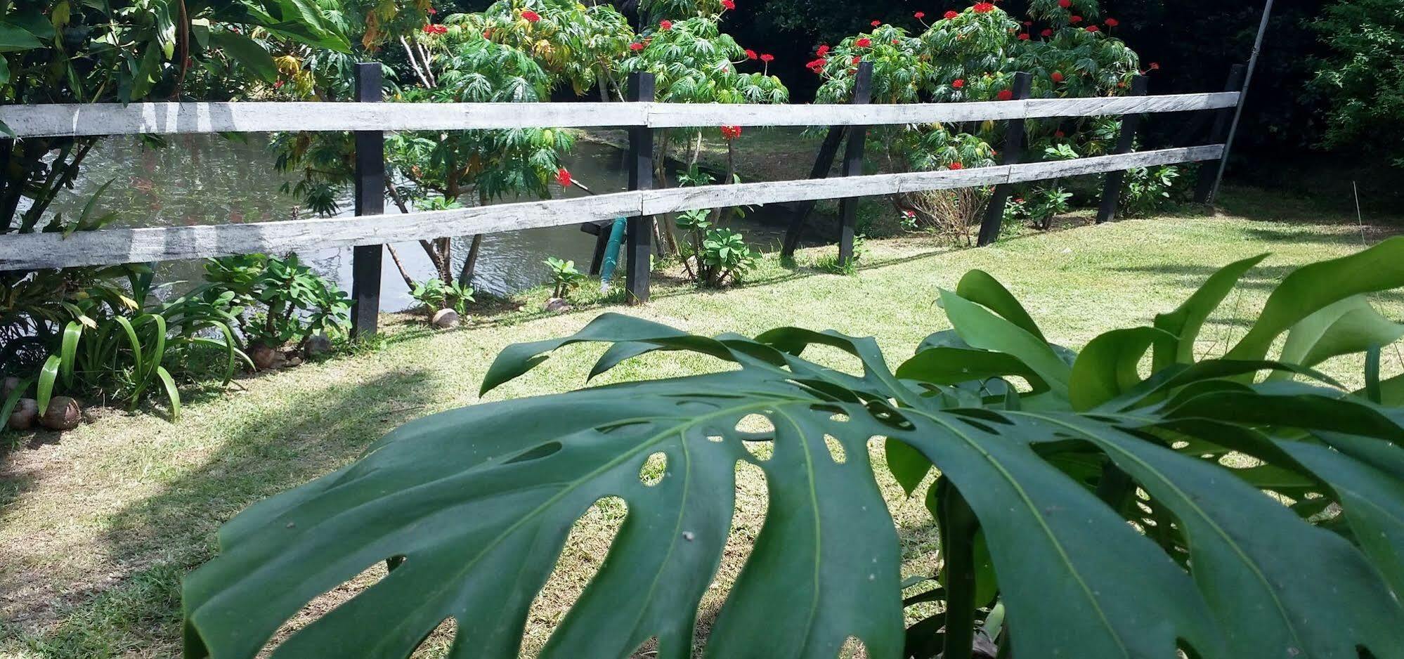 Rancho De Lelo Ecolodge Monteverde Kültér fotó