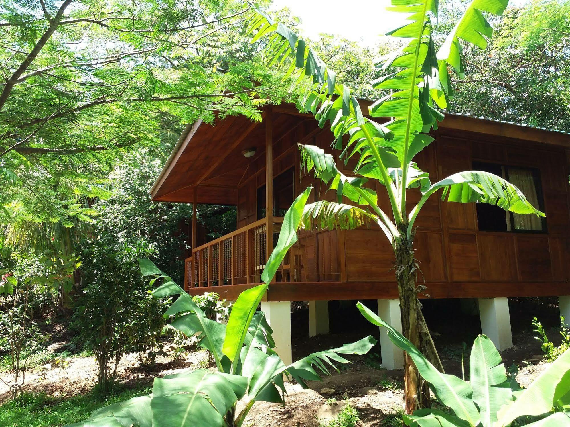 Rancho De Lelo Ecolodge Monteverde Kültér fotó