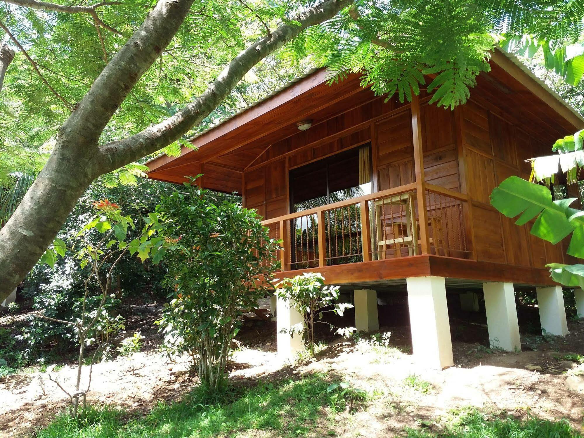 Rancho De Lelo Ecolodge Monteverde Kültér fotó