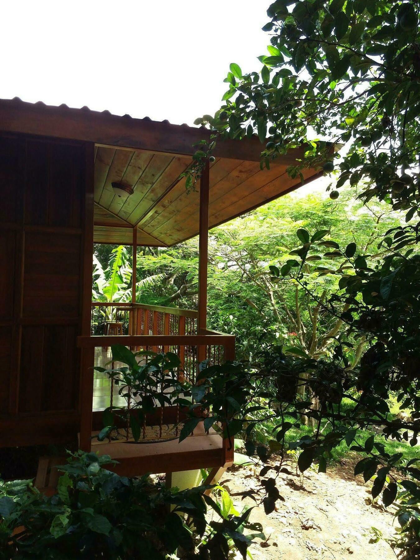 Rancho De Lelo Ecolodge Monteverde Kültér fotó