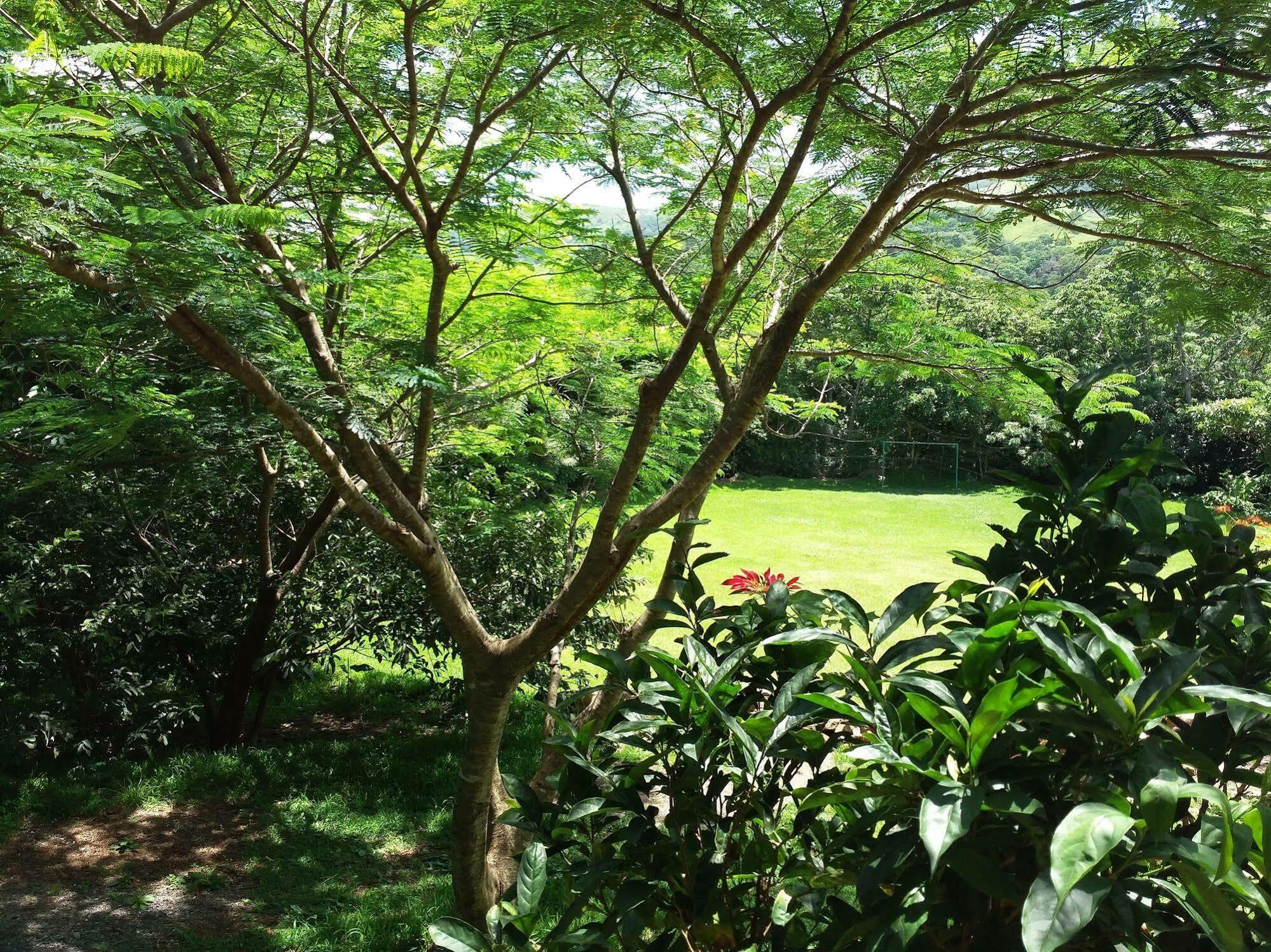 Rancho De Lelo Ecolodge Monteverde Kültér fotó