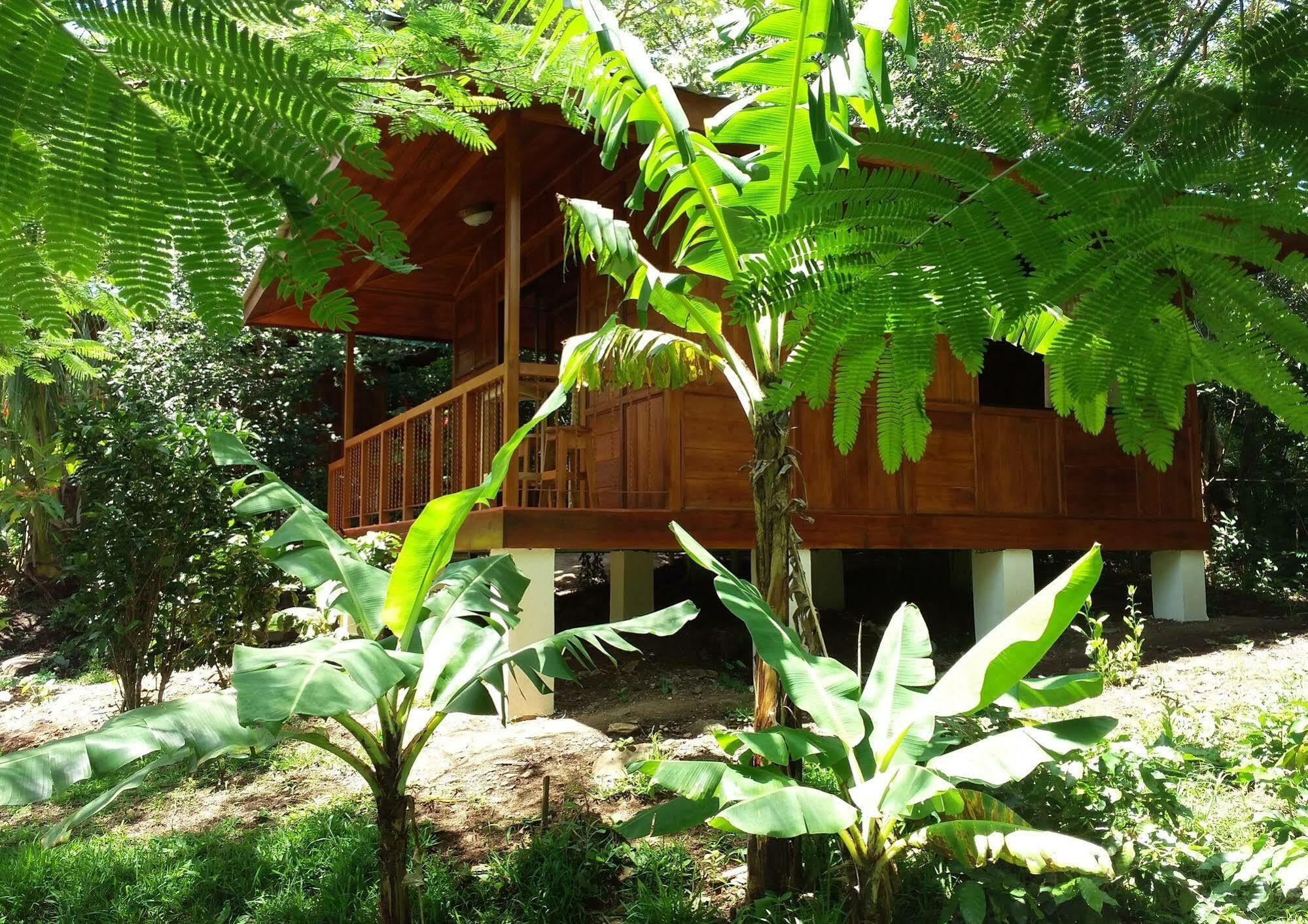 Rancho De Lelo Ecolodge Monteverde Kültér fotó