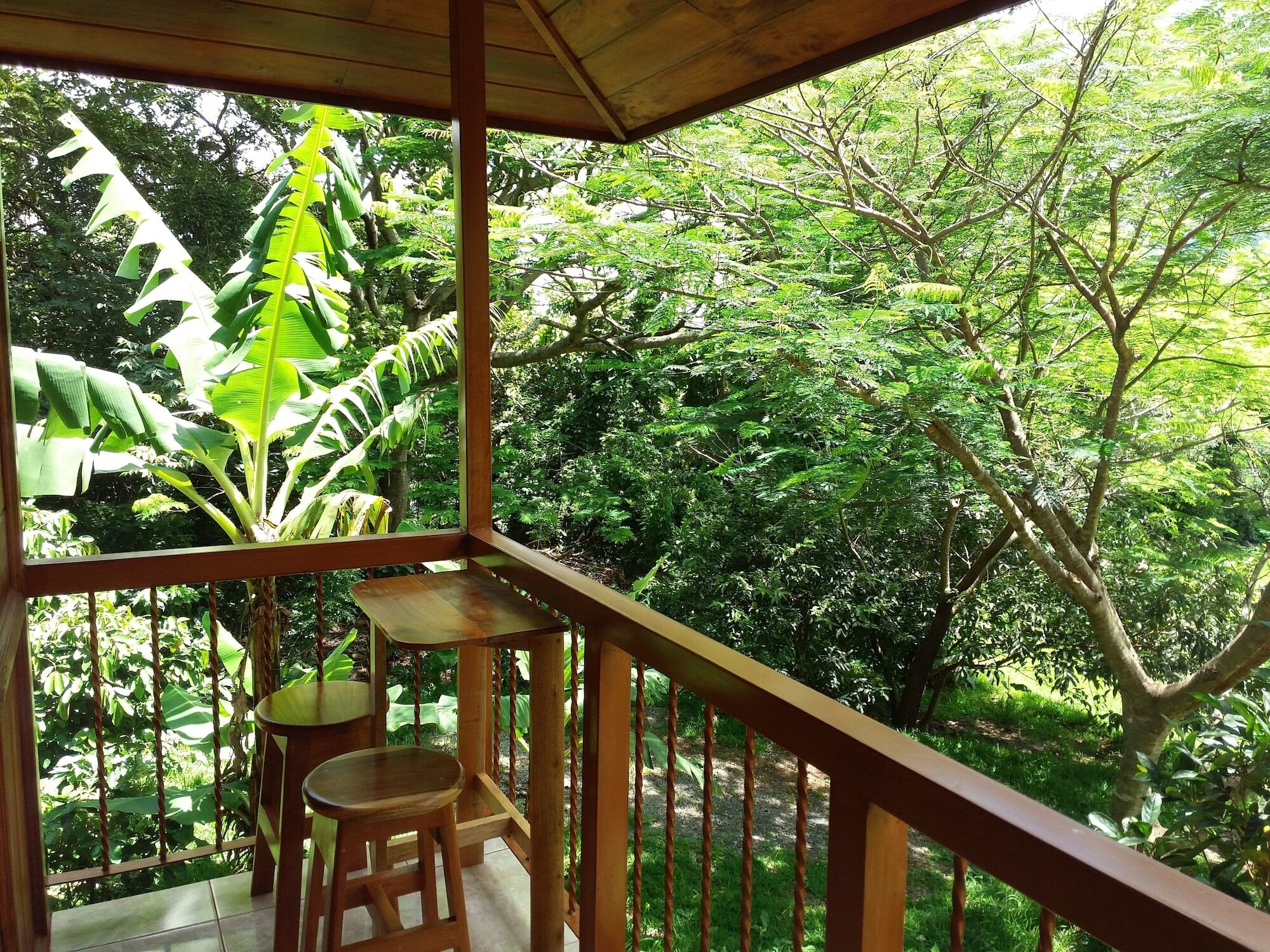 Rancho De Lelo Ecolodge Monteverde Kültér fotó